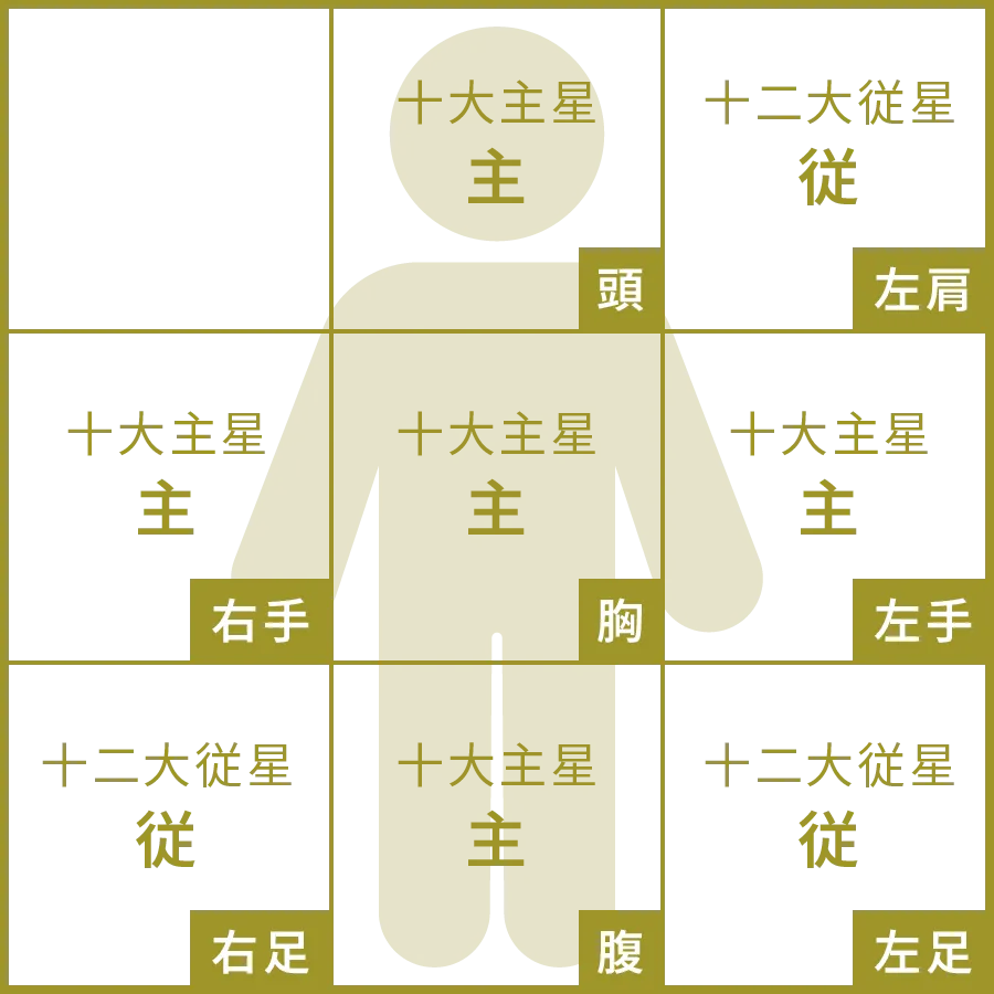 人体図